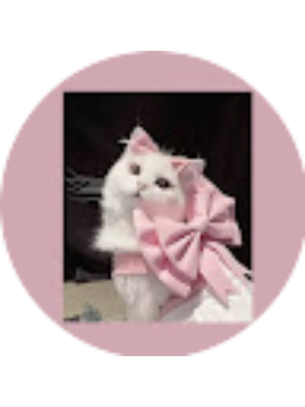 Photo of shifafathimashanif13