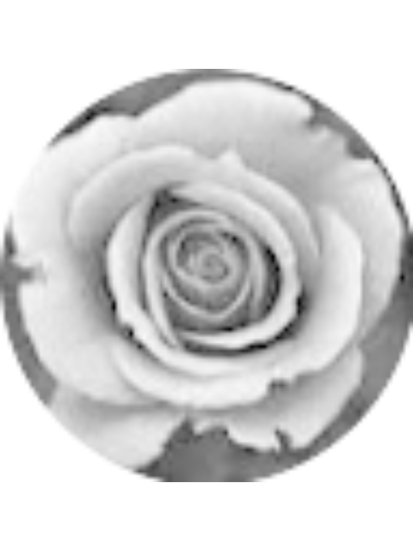 Photo of ELLIE DEBBERT