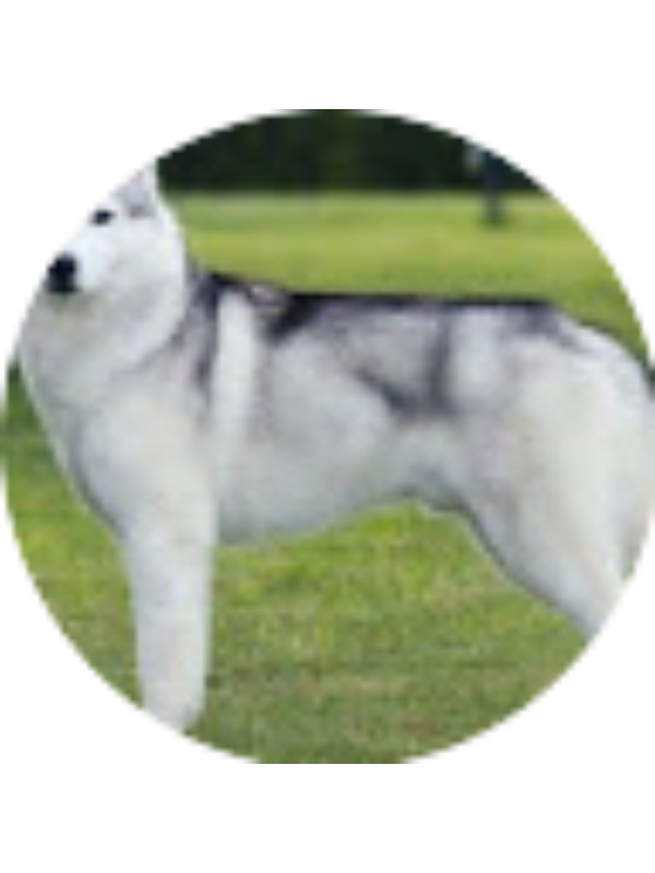 Photo of VALERIE DURAN