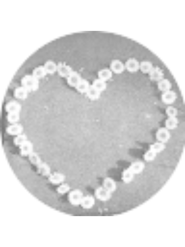 Photo of Maria Ramos