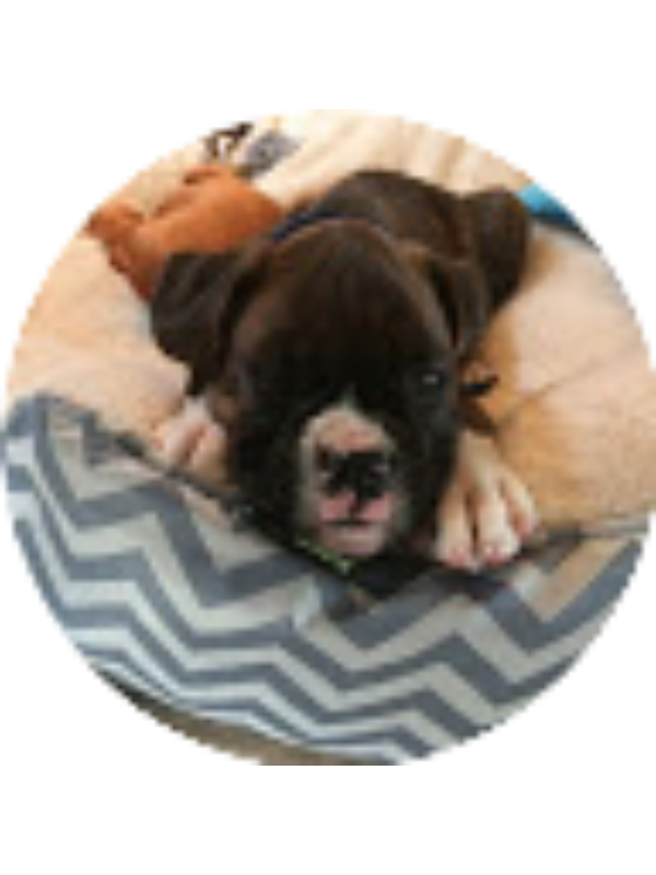 Photo of Banana1 Banana2