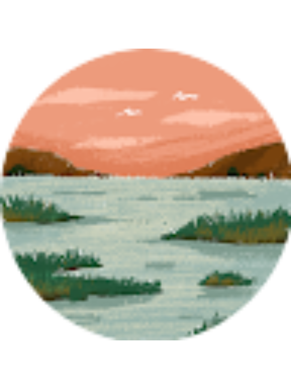 Photo of Shrika Bandi