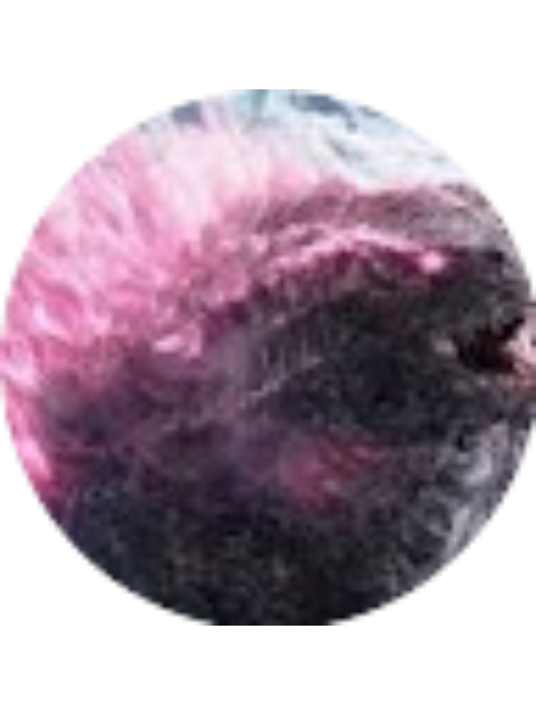 Photo of Aiden Braun