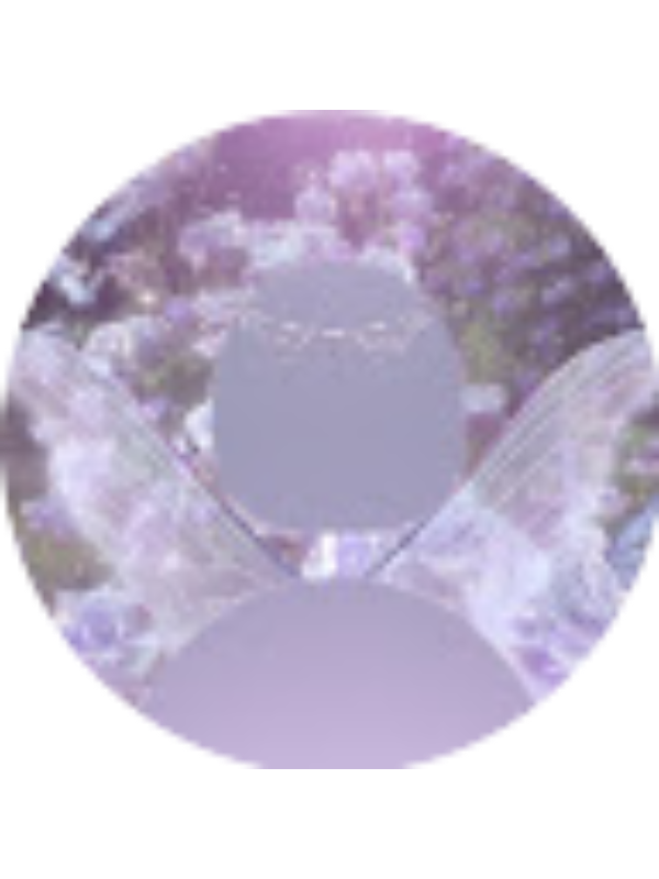 Photo of Rithika Rudraraju