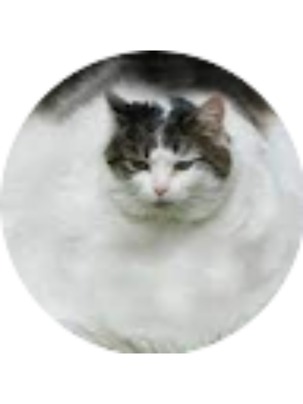 Photo of Nathaniel Stikeleather