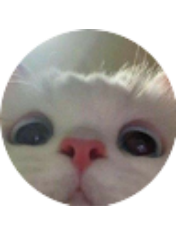 Photo of Дина Мусина