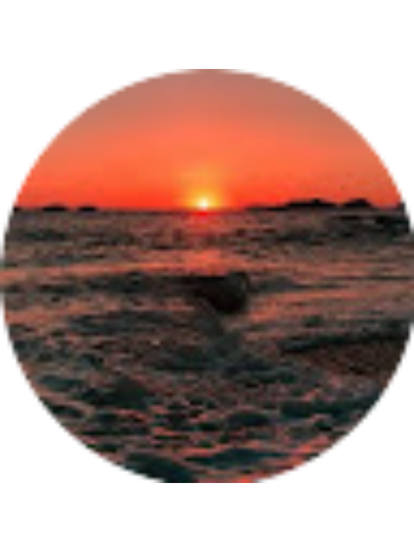 Photo of Mejrem Huric