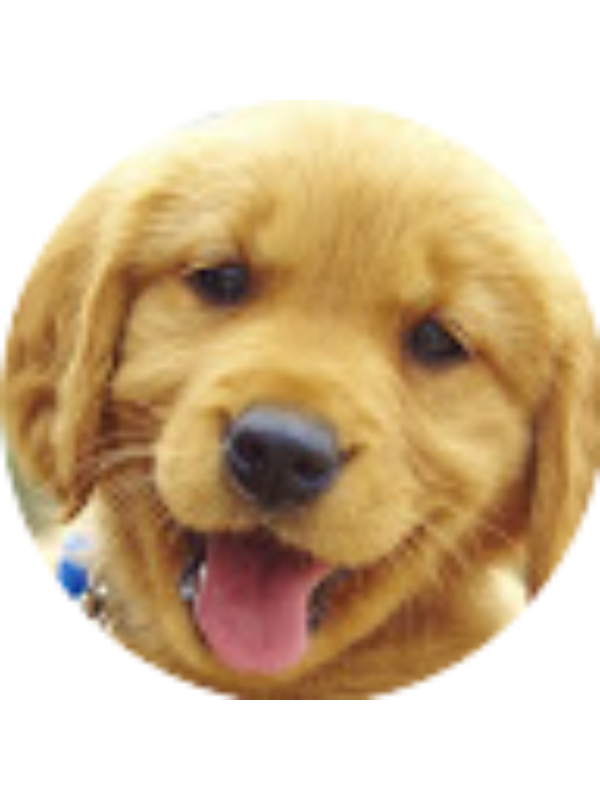 Photo of Katherine Cruz-Murillo