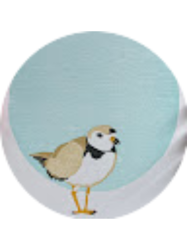 Photo of Julia Maevis