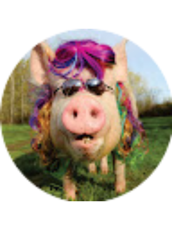 Photo of YUYUYOHI SANTIAGO