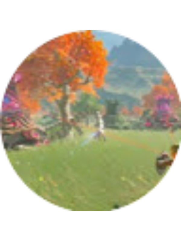 Photo of Tomas Trevino