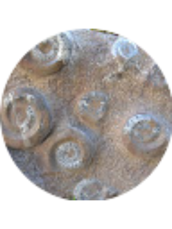 Photo of Laura Vaquero