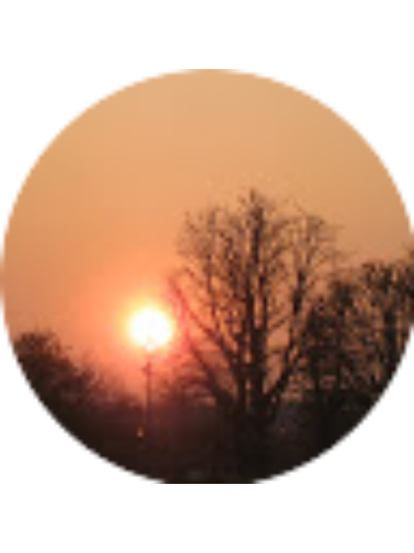 Photo of Anna Athanasopoulou