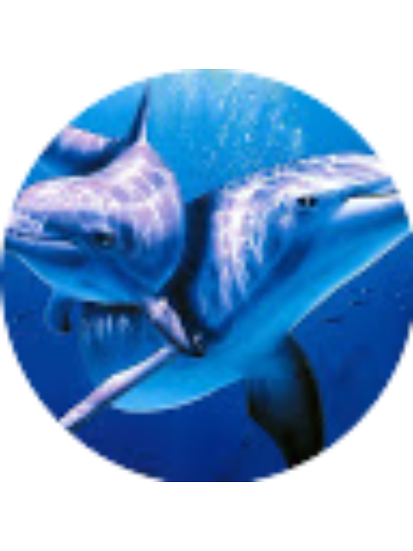 Photo of Ramirez Greece