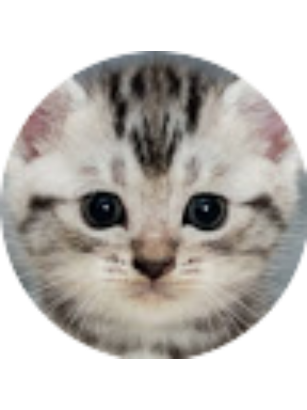 Photo of ALYA DURU Yilmaz