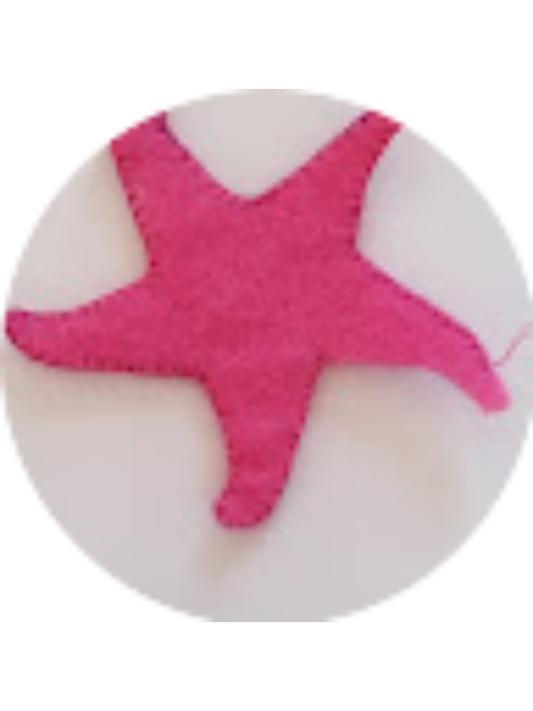 Photo of Derya Fennibay