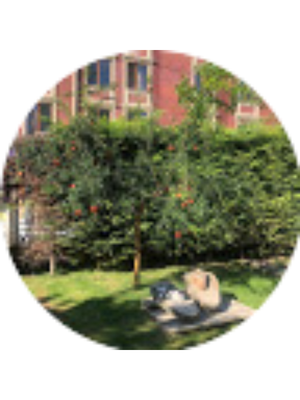 Photo of Nur Ko&ccedil;