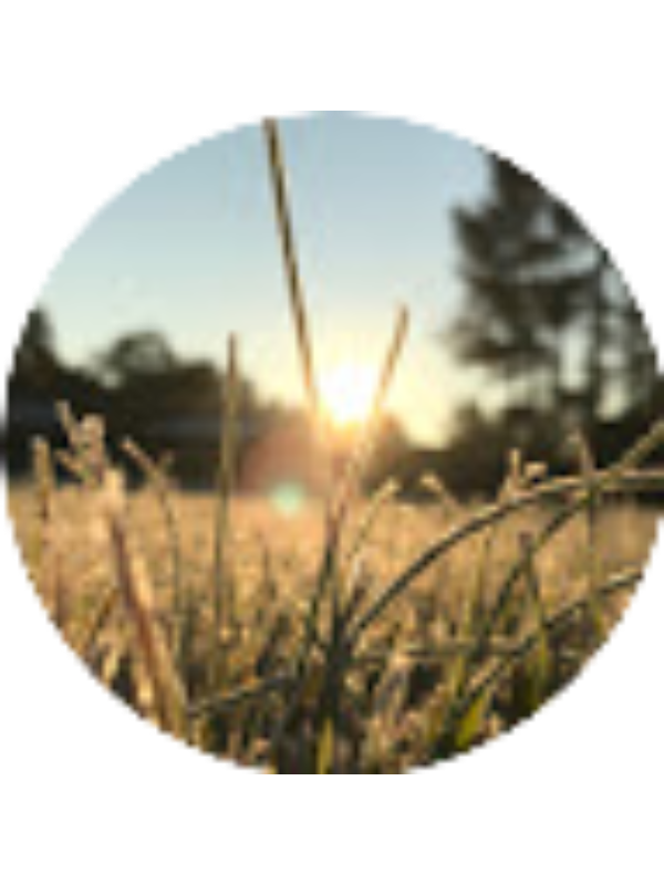 Photo of Colton Locklear