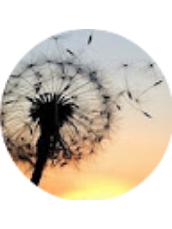 Photo of Kenna Hendry