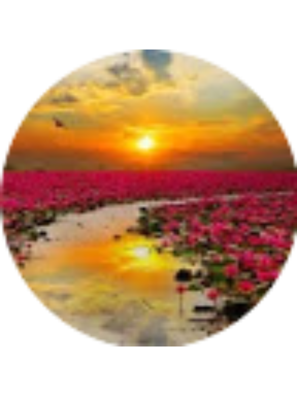 Photo of Alexandra Torres