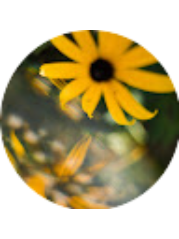 Photo of Rachel Sulak