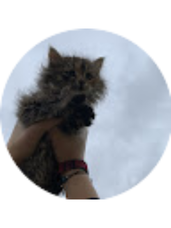 Photo of Katinaite A.