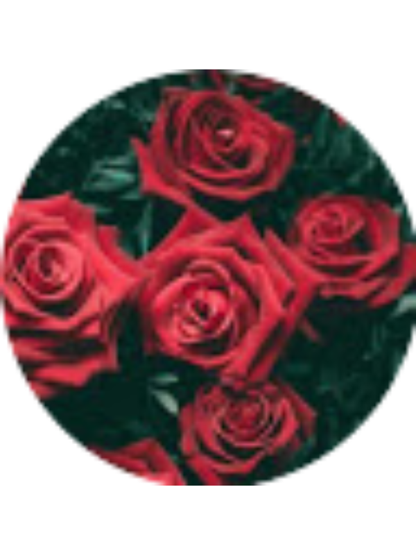 Photo of Shayla Connor