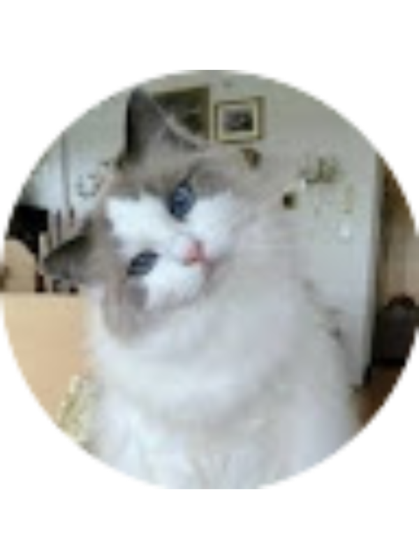 Photo of Leonor Paiva