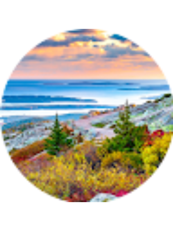 Photo of Dexton Johnson