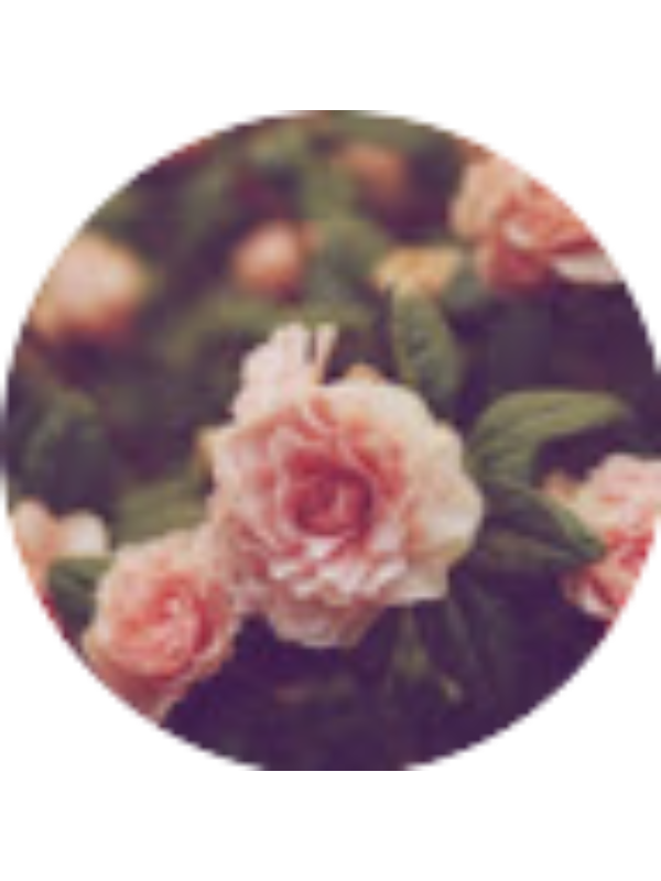 Photo of Reegan Hargreaves