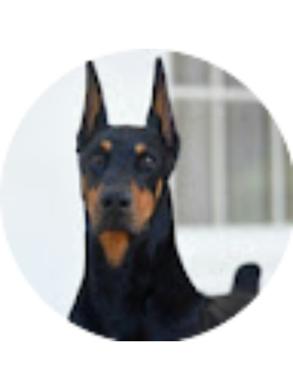 Photo of Victoria Tromp