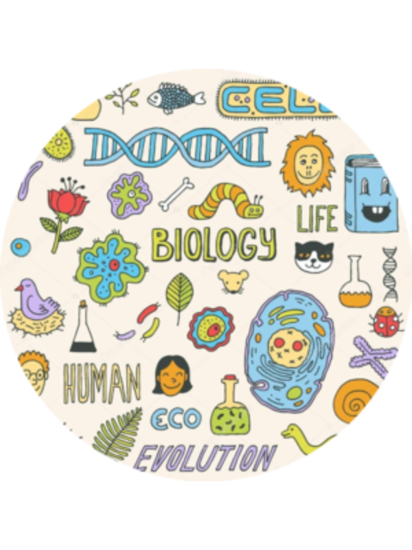 Photo of HACER DOGRU