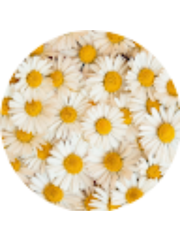 Photo of Jillian Kubicki