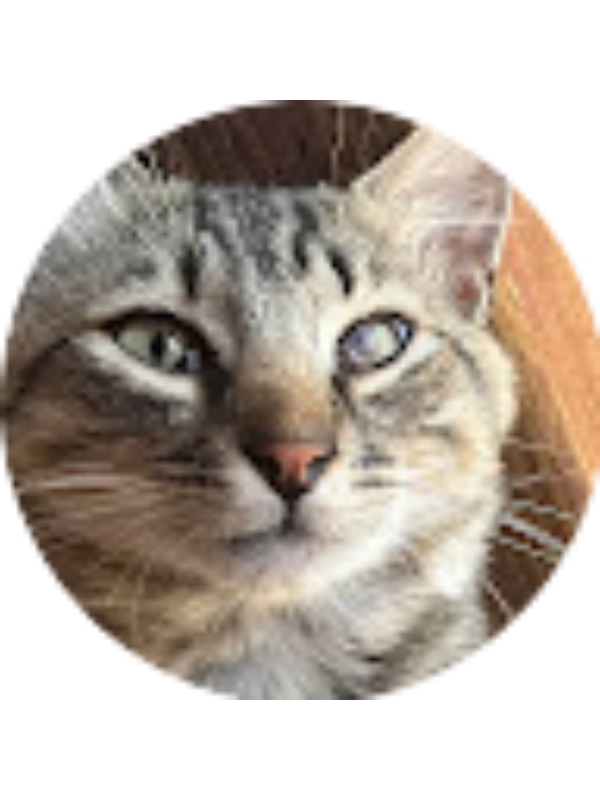 Photo of Alexander Ibarra