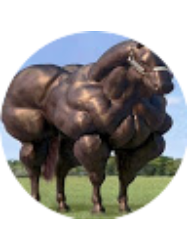 Photo of Andrew Maxwell