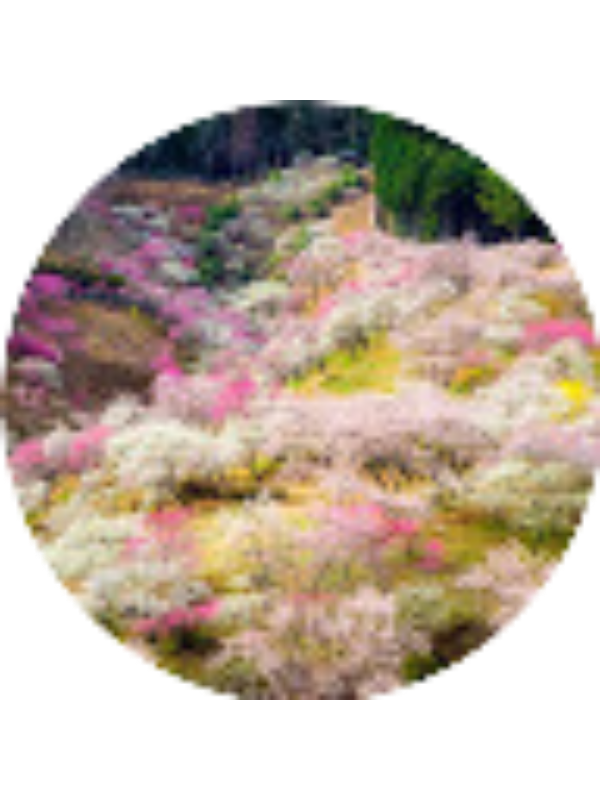 Photo of Evelin Vigil