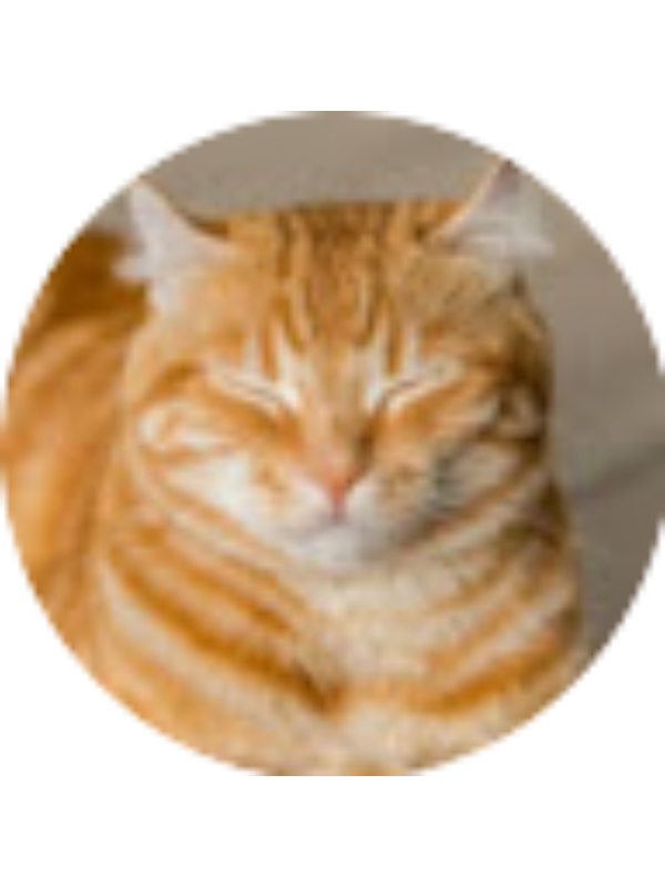 Photo of Fatimah Bhuiyan