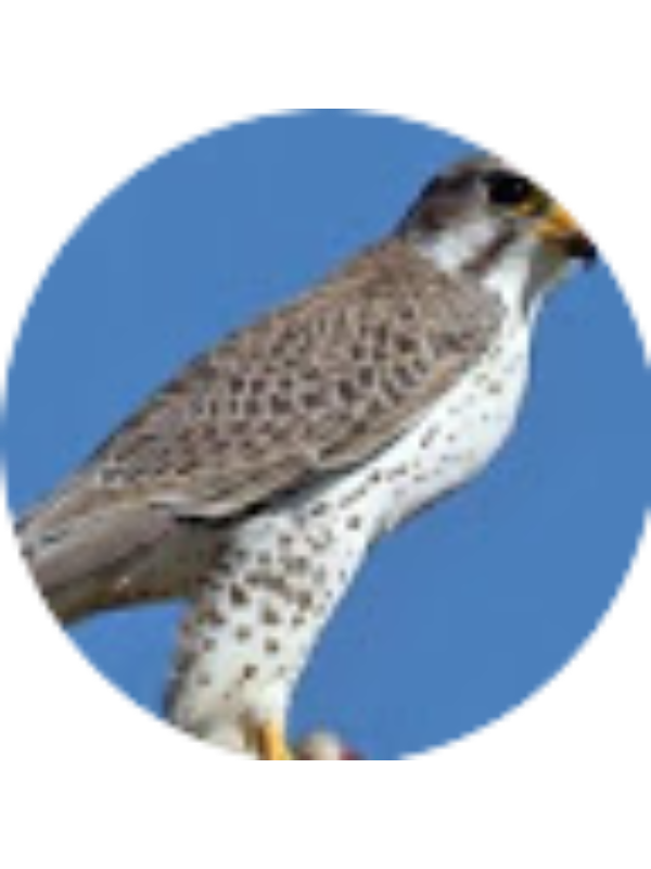Photo of Jacob Scofield