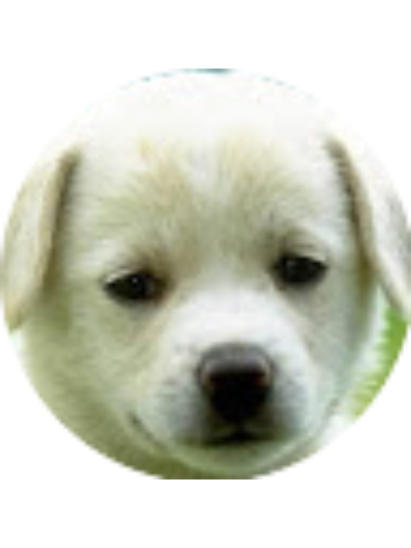 Photo of Alyssa Villanueva