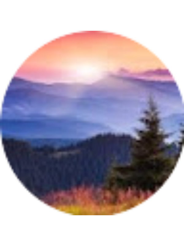 Photo of Alyssa Bartlow