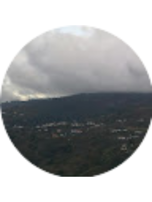 Photo of Maria Marques