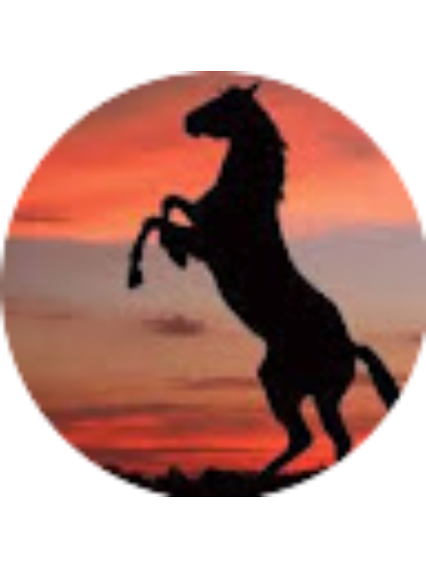 Photo of PRIYANKA PATEL