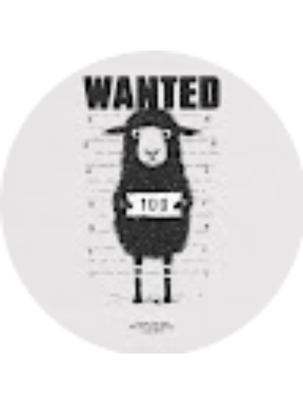 Photo of Dannita Yauri