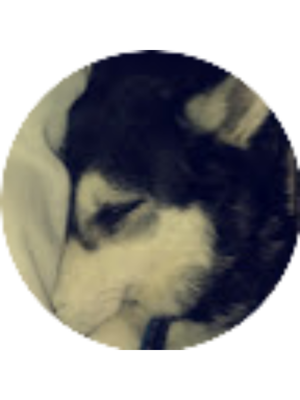 Photo of Kaitlynn Schwartz