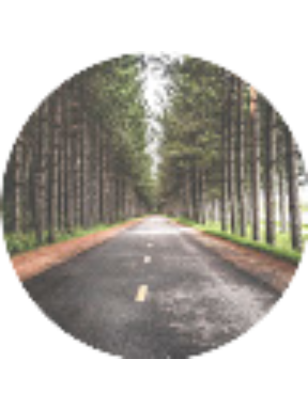 Photo of Ahmad Saeid