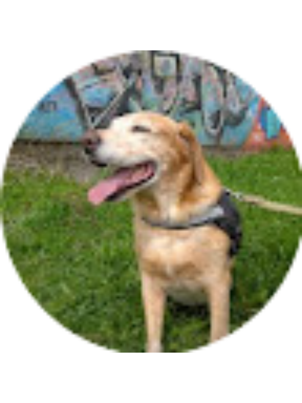 Photo of Rasmila Sayarat