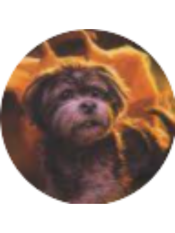 Photo of Juju Mead