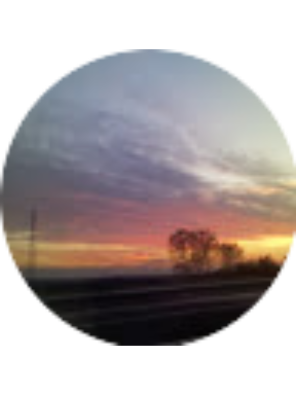 Photo of Aysun Sevim