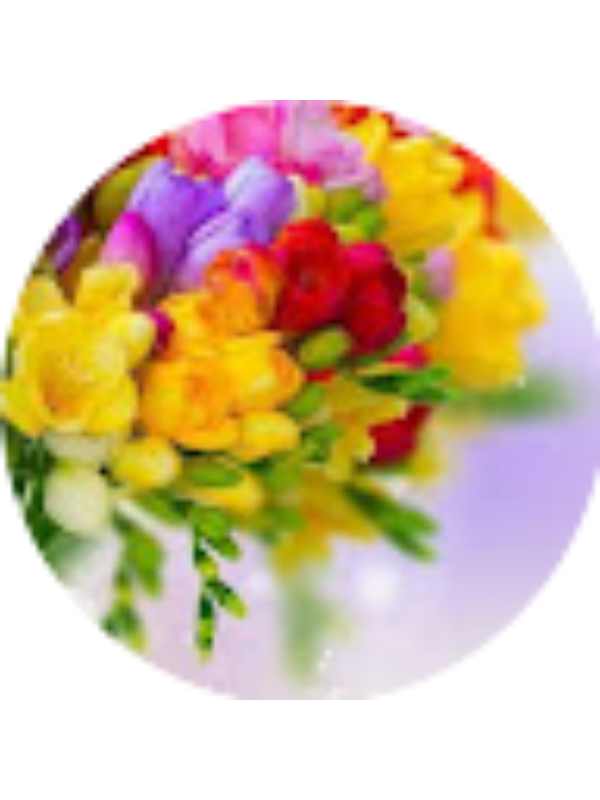 Photo of Flori Ionescu