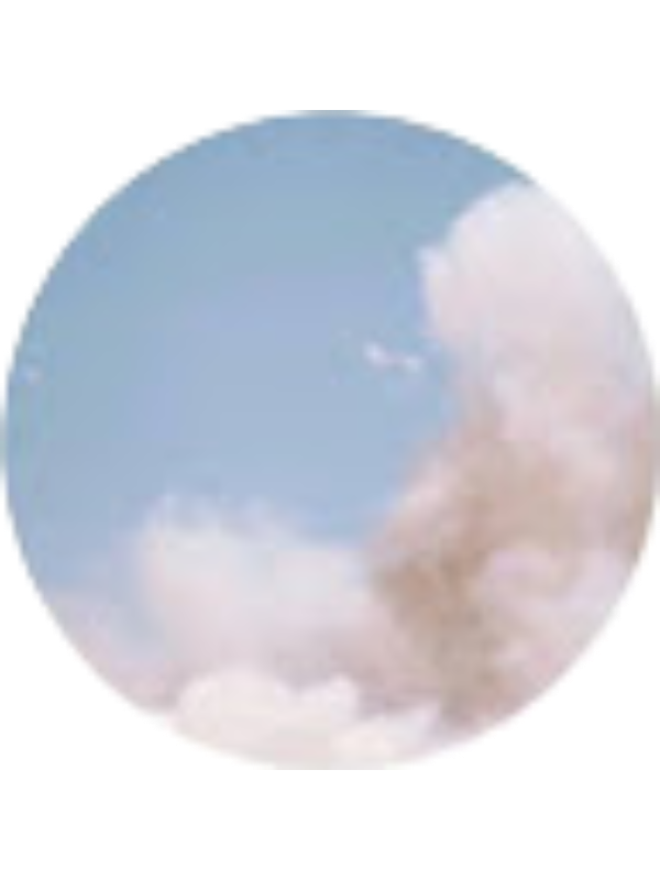 Photo of Sarah Varghese